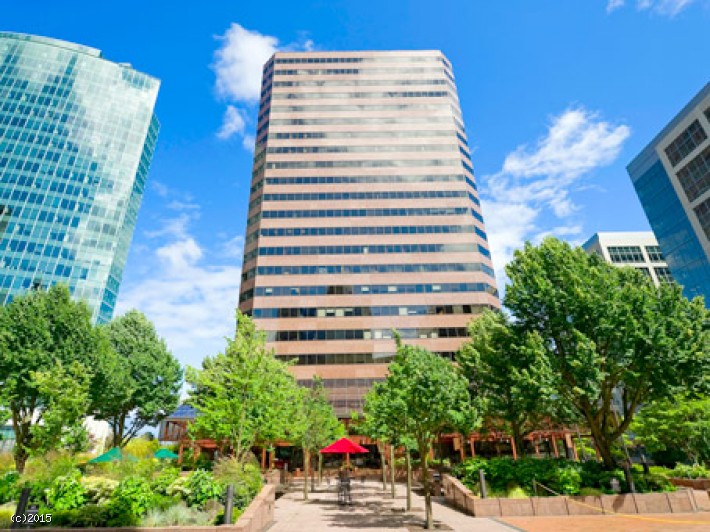 Bellevue Skyline Tow Skyline Tower