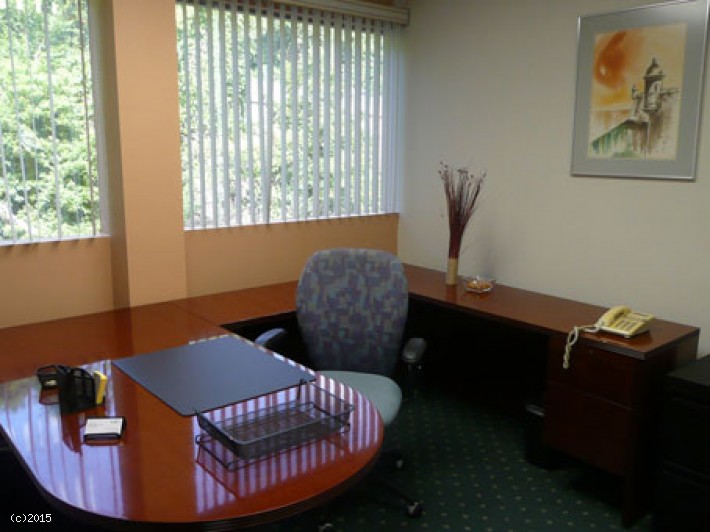 Metro Office Park Street 1 Suite 204 Guaynabo